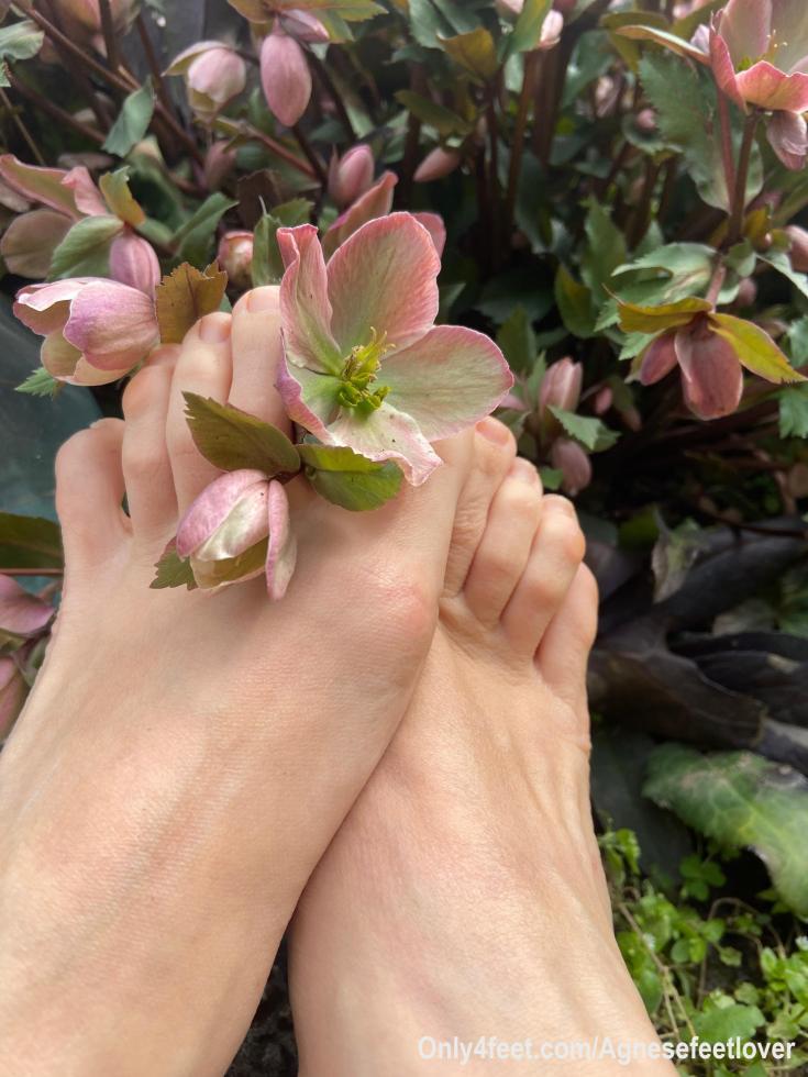 Ciao benvenuti sulla mia pagina! Pubblicherò delle piccole anteprime delle foto che scatto, gli album completi saranno solo visibili ai miei iscritti! Correte a sottoscrivere un abbonamento, se avete richieste particolari non fatevi nessun problema a contattarmi...
Baciiii