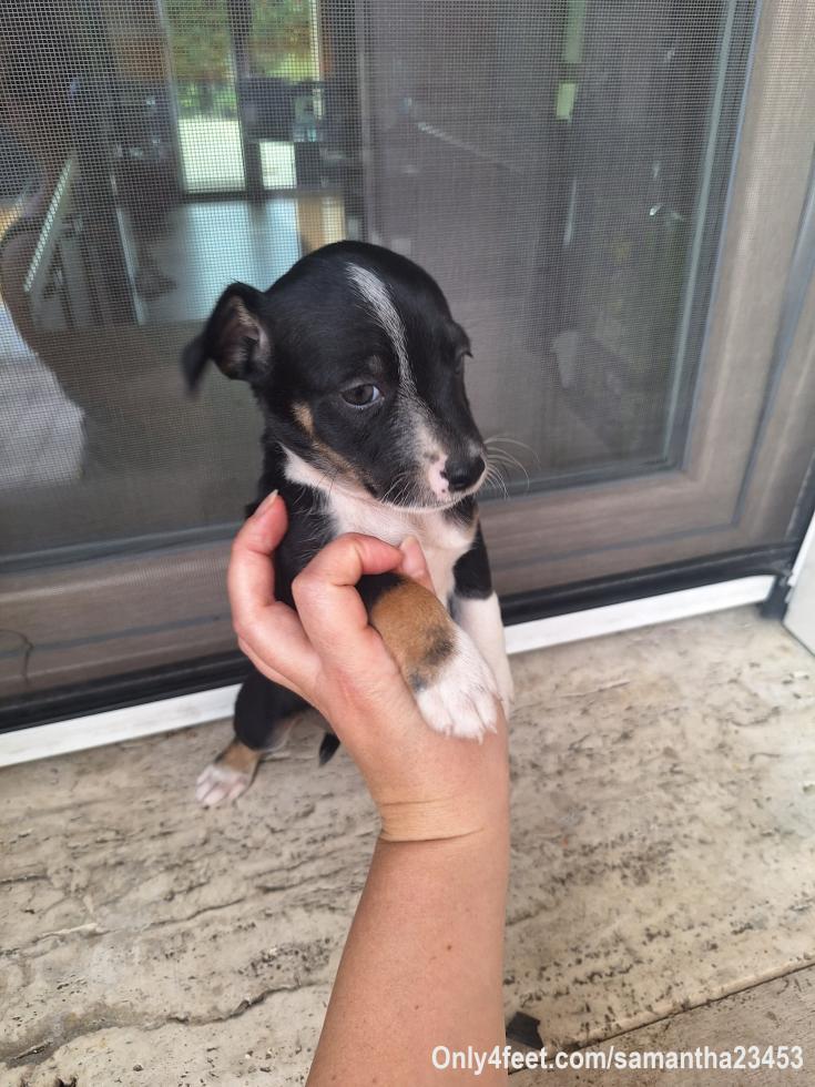 Buongiorno 🌼 🌼 con tenerezza 🥰🥰💞💞💋💋