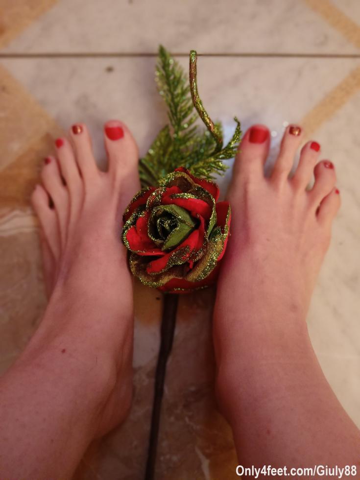 Rosa rossa verde per te....