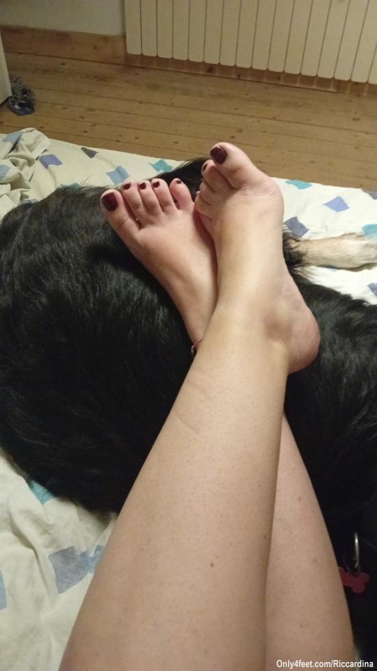 Il mio cane è un ottimo appoggia piedi 😝🐕
🇬🇧 My dog ​​is an excellent foot rest 😝🐕
